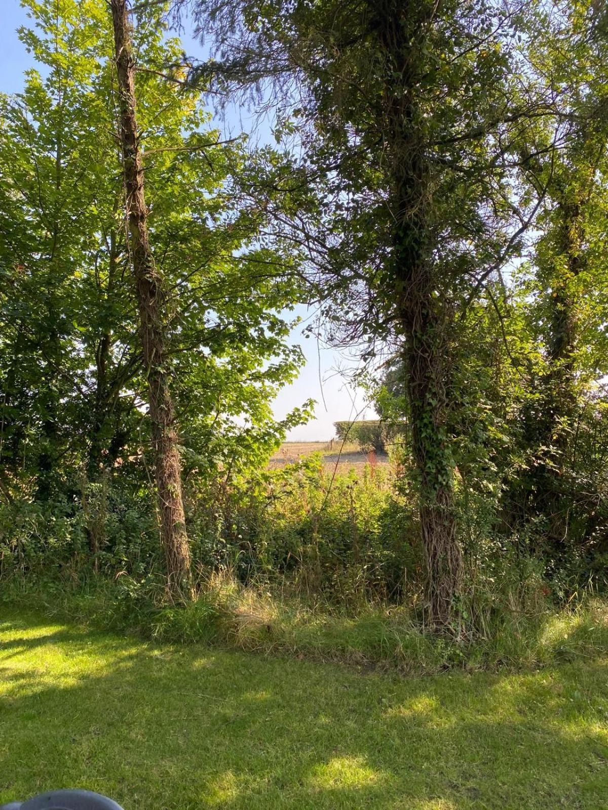 Kildare Countryside Pods Vila Exterior foto